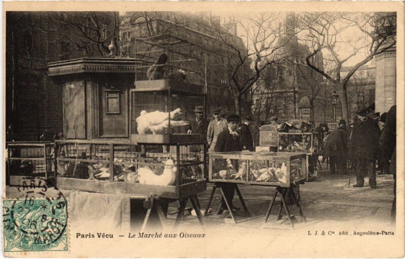 Carte postale ancienne Le Marché aux Oiseaux à Paris 4e