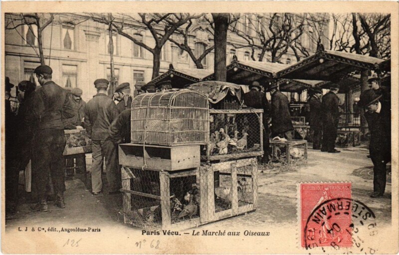 Carte postale ancienne Paris Vecu. Le Marche aux Oiseaux