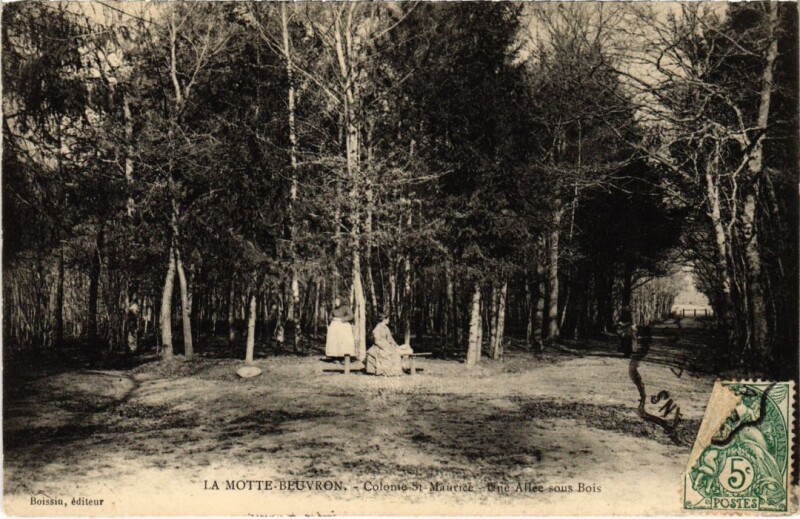 Carte postale ancienne La Motte-Beuvron Colonie St.Maurice France