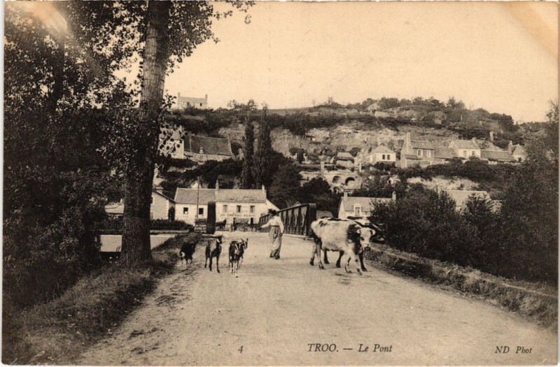 Carte postale ancienne Troo Le Pont France