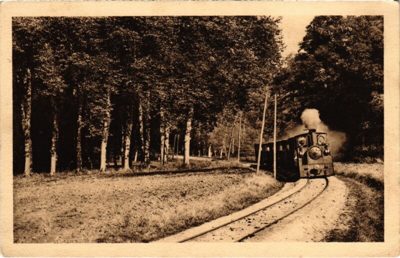 Carte postale ancienne Ecole de Pont-Levoy Le Petit Bois France