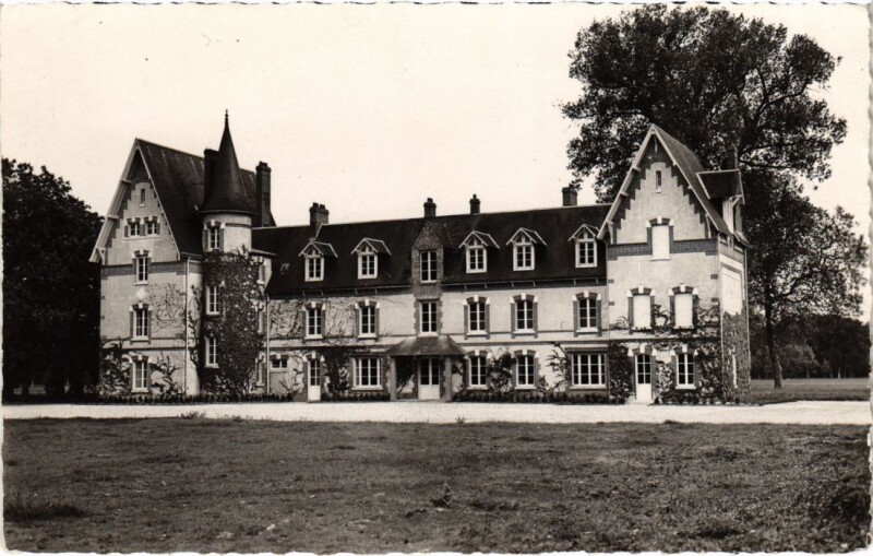 Carte postale ancienne Selles St.Denis Chateau de Bois Mehant France