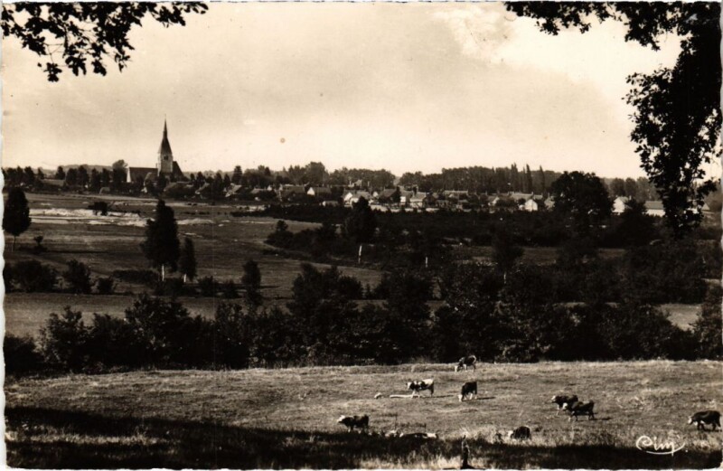 Carte postale ancienne Pierrefitte-sur-Sauldre Vue Generale France à Pierrefitte-sur-Sauldre