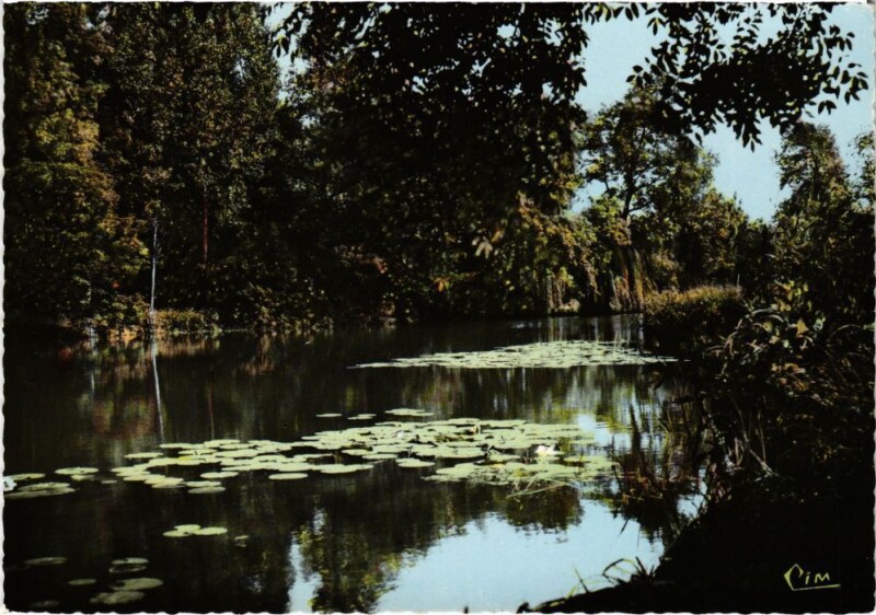 Carte postale ancienne Pezou Bords du Loir France à Pezou