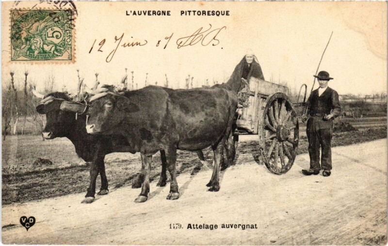 Carte postale ancienne Folklore Attelage auvergnant