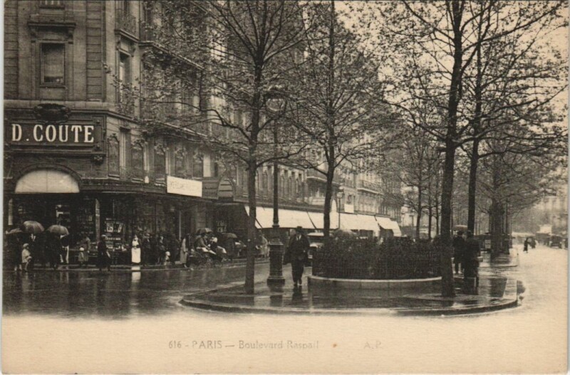 Carte postale ancienne Paris 7e Boulevard Raspail