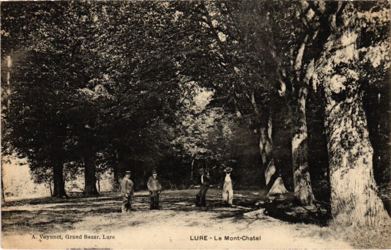 Carte postale ancienne Lure Le Mont-Chatel