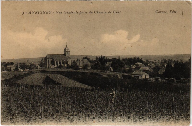 Carte postale ancienne Avrigney vue generale