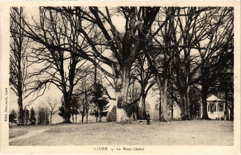 Carte postale ancienne Lure Mont Chatel