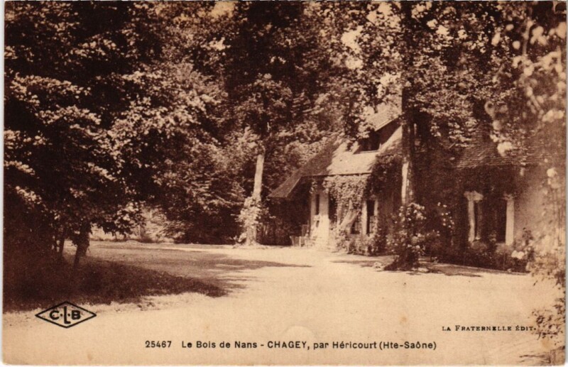 Carte postale ancienne Chagey Le Bois de Nans à Chagey