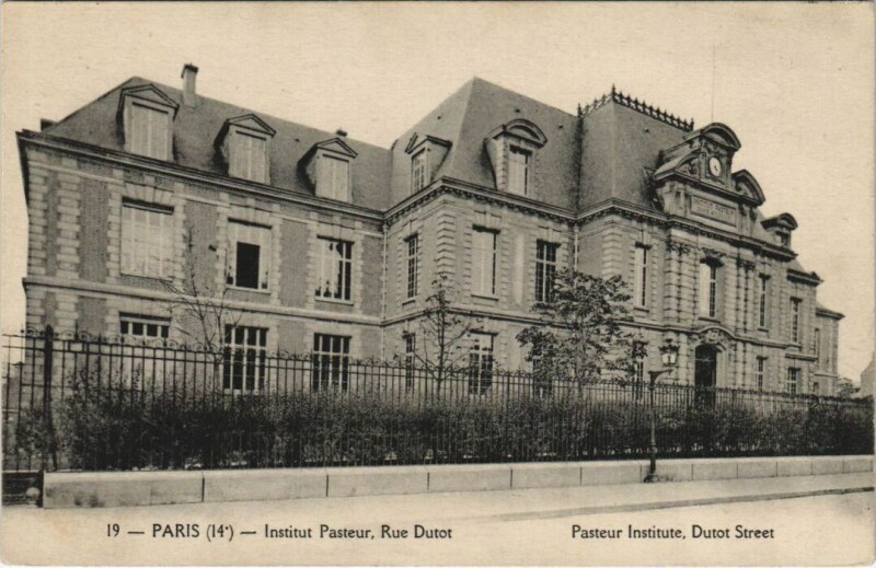 Carte postale ancienne Institut Pasteur, Rue Dutot à Paris 15e