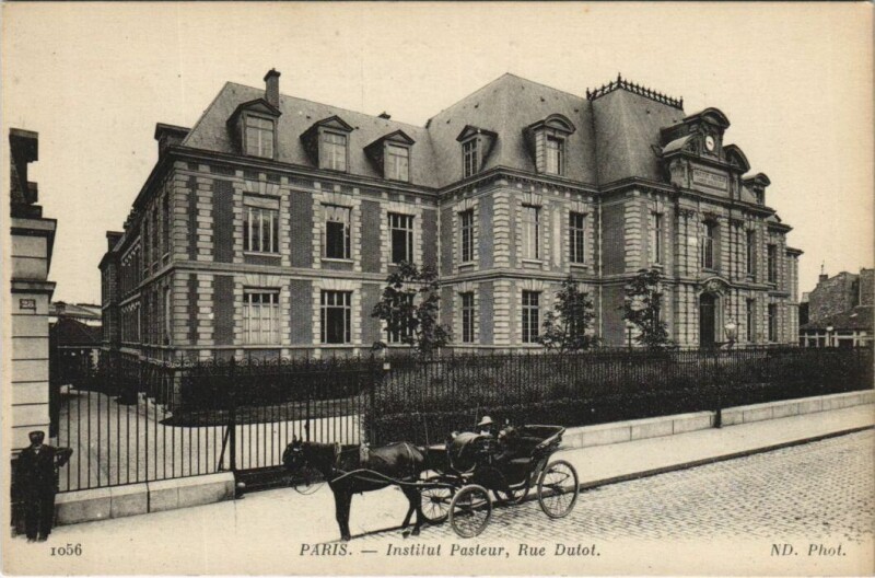 Carte postale ancienne L'Institut Pasteur, Rue Dutot à Paris 15e