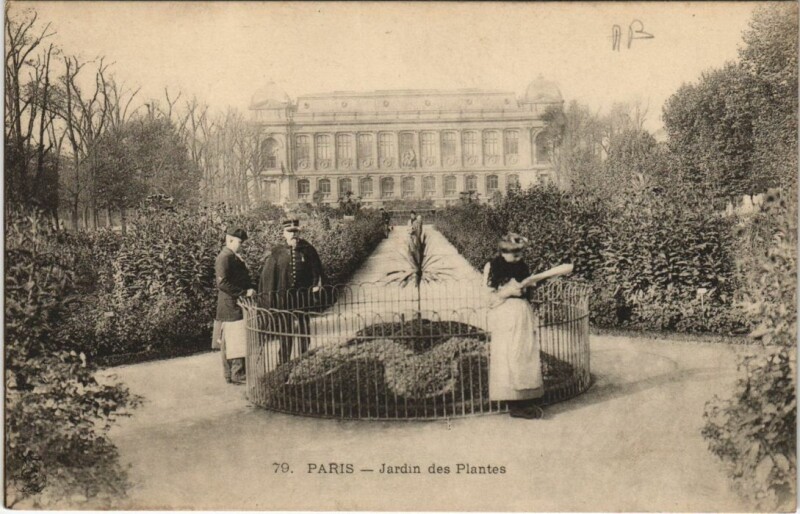 Carte postale ancienne Paris 5e Jardin des Plantes