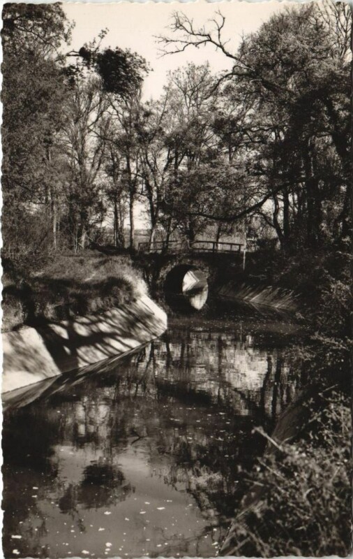 Carte postale ancienne Bleneau La Rigole