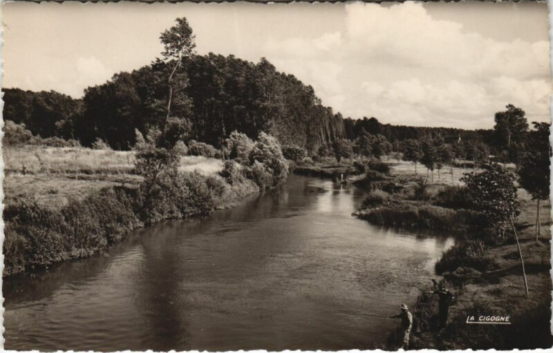 Carte postale ancienne Brienon Un Bras de l'Armancon