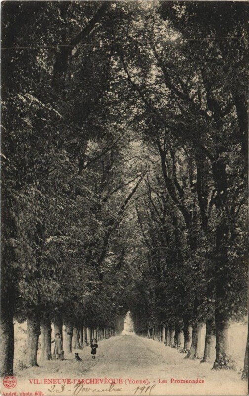 Carte postale ancienne Villeneuve-l'Archeveque Les Promenades à Menades
