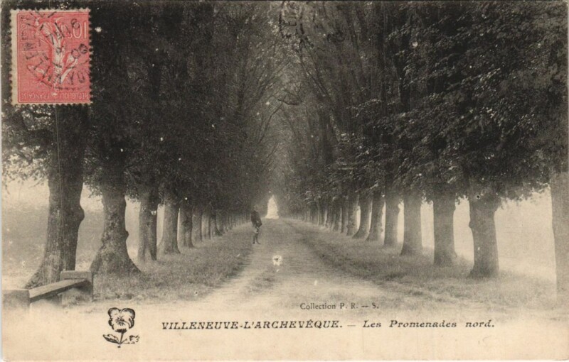 Carte postale ancienne Villeneuve-l'Archeveque Les Promenades Nord à Menades
