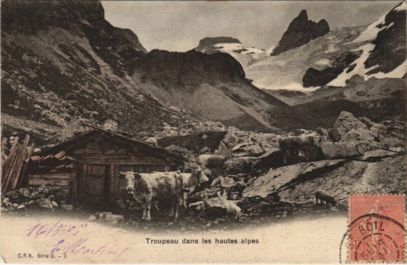 Carte postale ancienne Troupeau dans les Hautes Alpes