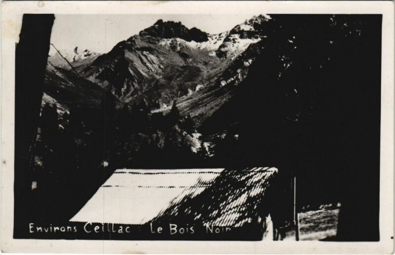 Carte postale ancienne Ceillac Environs - Le Bois Noir à Ceillac