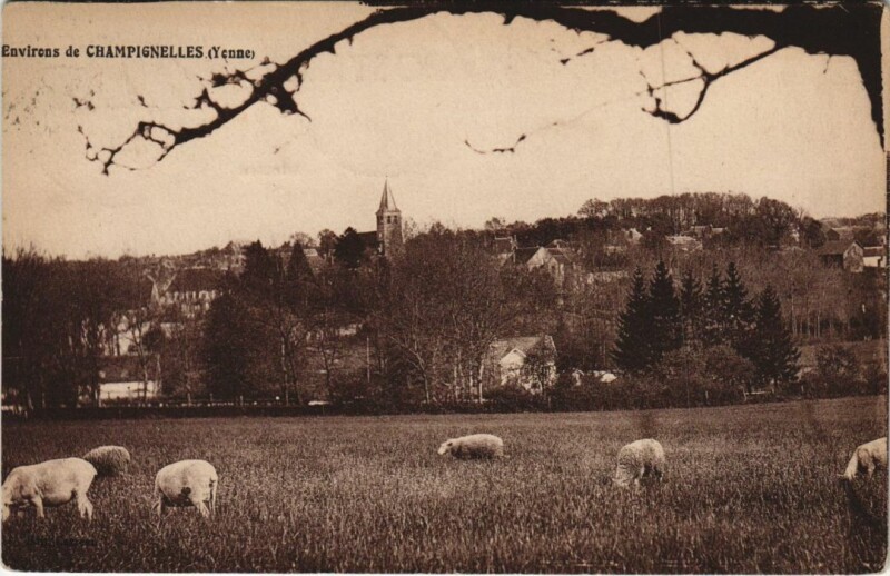 Carte postale ancienne Sens Environs de Champignelles France à Champignelles