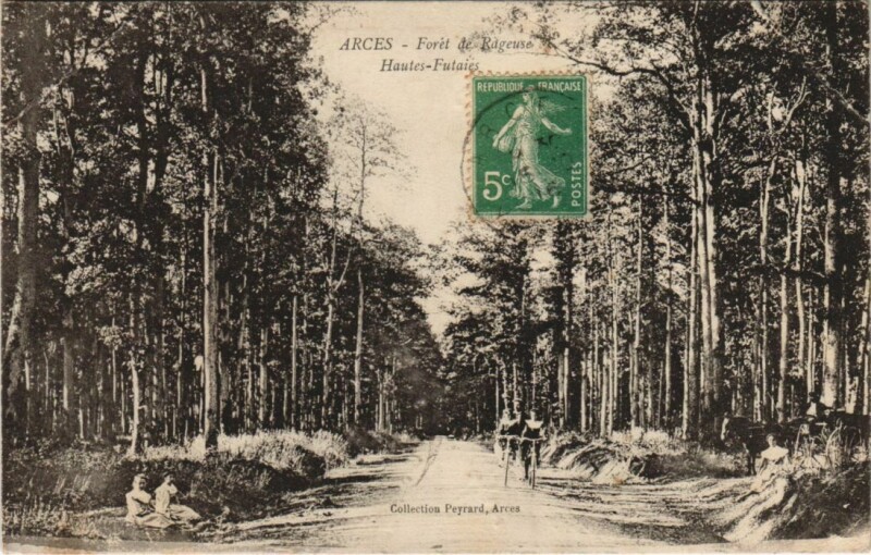 Carte postale ancienne Arces Foret de Rageuse France