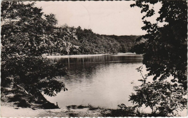 Carte postale ancienne Foret de Troncais - L'Etang de Saloup