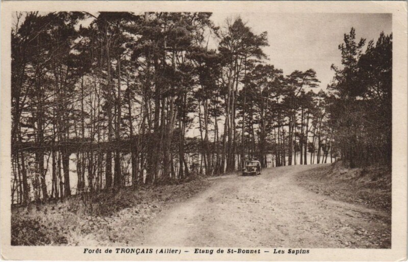 Carte postale ancienne Foret de Troncais - Etang de Saint-Bonnet - Les Sapins