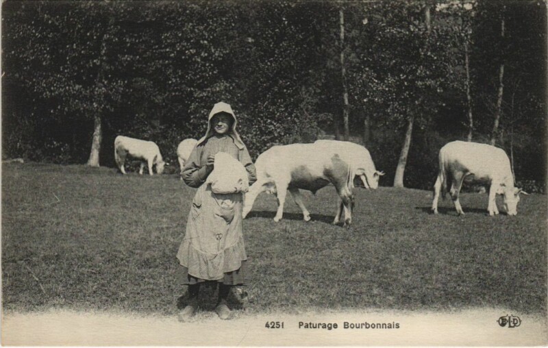 Carte postale ancienne Paturage Bourbonnais