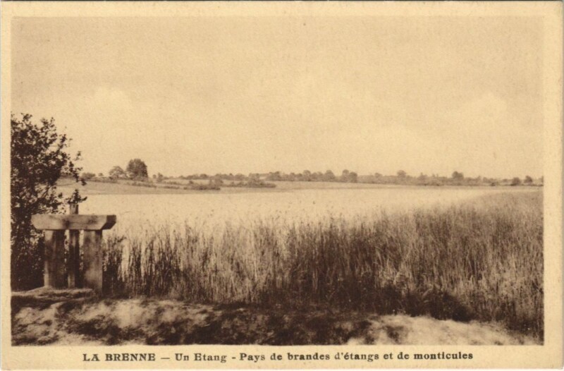 Carte postale ancienne La Brenne Un Etang France