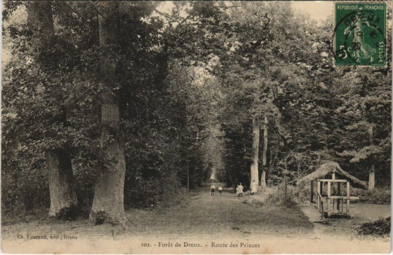 Carte postale ancienne Dreux Foret de Dreux - Route des Princes à Dreux