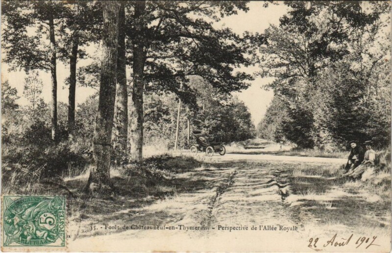 Carte postale ancienne Foret de Chateauneuf-en-Thymerais - Perspective de l'Allee Royale