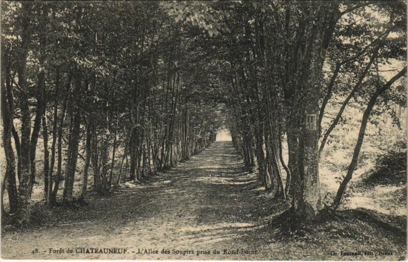 Carte postale ancienne Foret de Chateauneuf-en-Thymerais - L'Allee des Soupirs