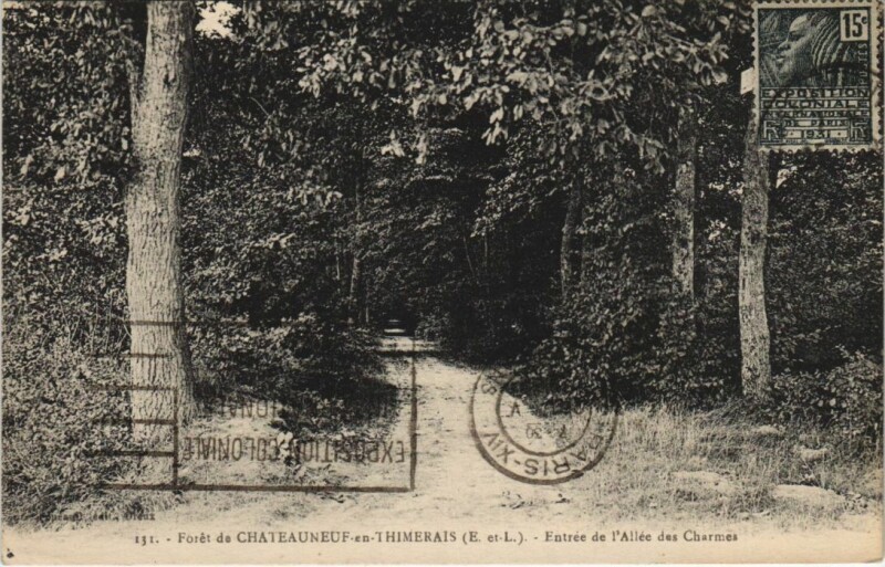 Carte postale ancienne Foret de Chateauneuf-en-Thymerais - Entree de l'Allee des Charmes