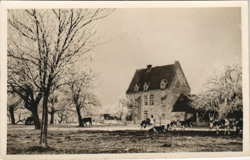 Carte postale ancienne Illiers Real Photo on Postcard France