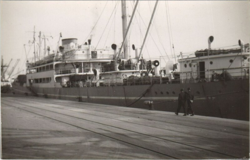 Carte postale ancienne Vojvodina - Cargo Ship Ships