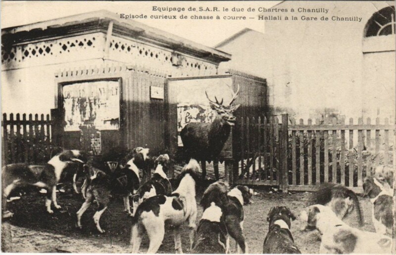 Carte postale ancienne Chantilly Equipage de S.A.R. Le Duc de Chartres a Chantilly à Antilly