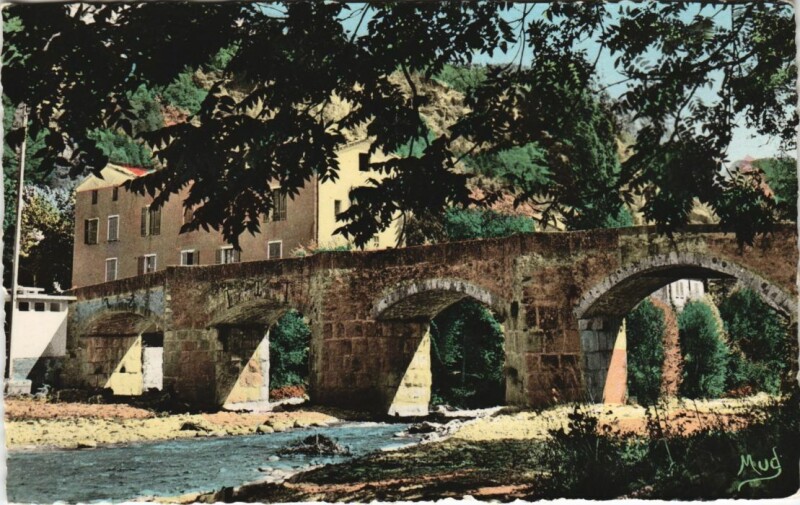 Carte postale ancienne Annot Le Pont Geant sur la Vaire à Annot