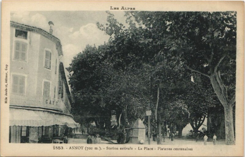 Carte postale ancienne Annot La Place - Platanes Centenaires à Annot