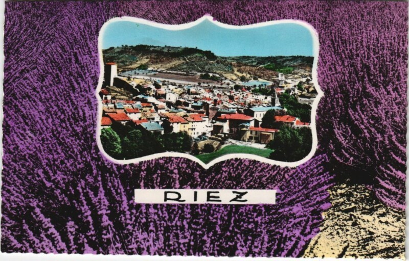 Carte postale ancienne Riez-la-Romaine Vue Generale