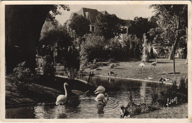 Carte postale ancienne Vichy Le Parc à Vichy