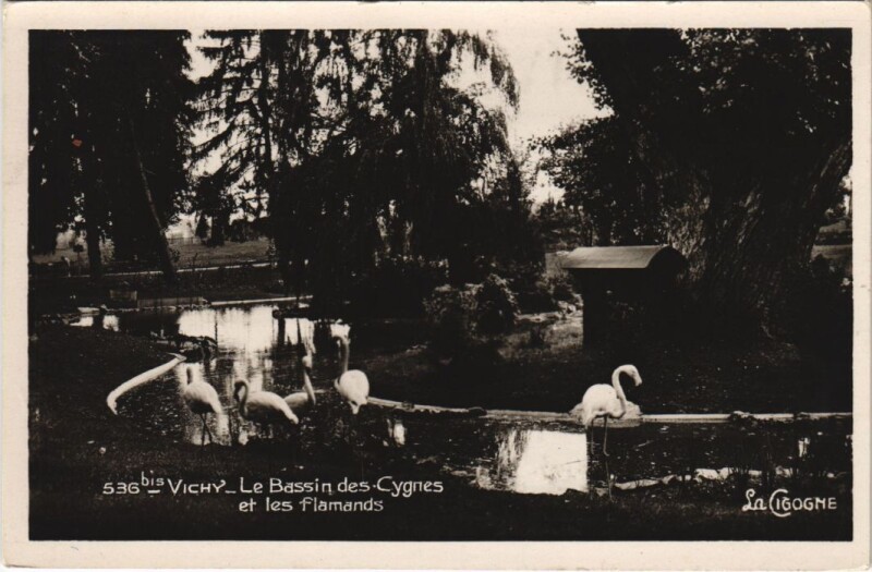 Carte postale ancienne Vichy Le Bassin des Cygnes et les flamands à Vichy