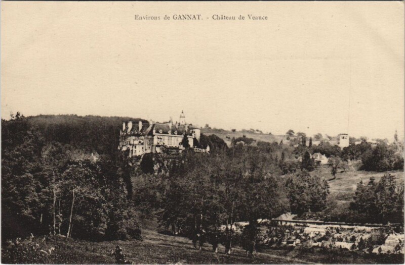 Carte postale ancienne Veauce Chateau de Veauce à Veauce