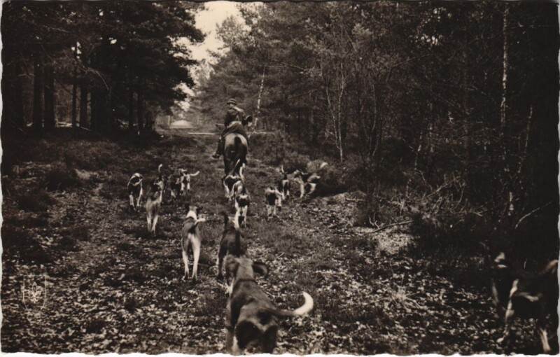 Carte postale ancienne Foret de Troncais Chasse a Cour