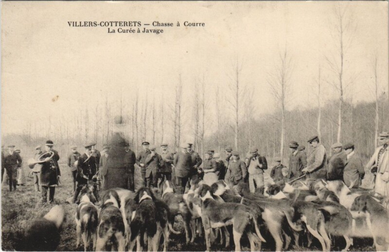Carte postale ancienne Villers-Cotterets Chasse a courre