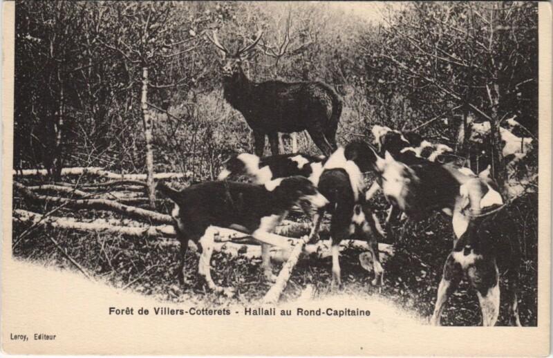 Carte postale ancienne Villers-Cotterets Hallali au rond capitaine