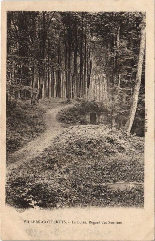 Carte postale ancienne Villers-Cotterets La foret