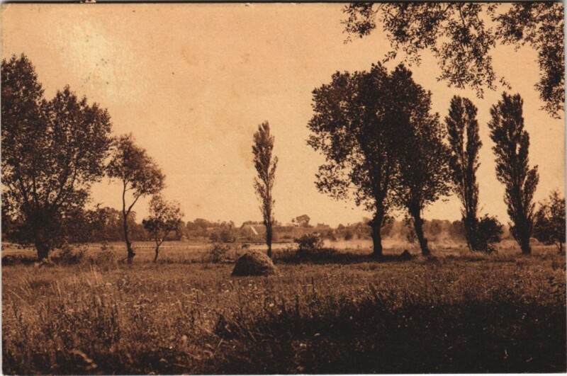 Carte postale ancienne Franceville Franceville-Plage - Paysage Champetre