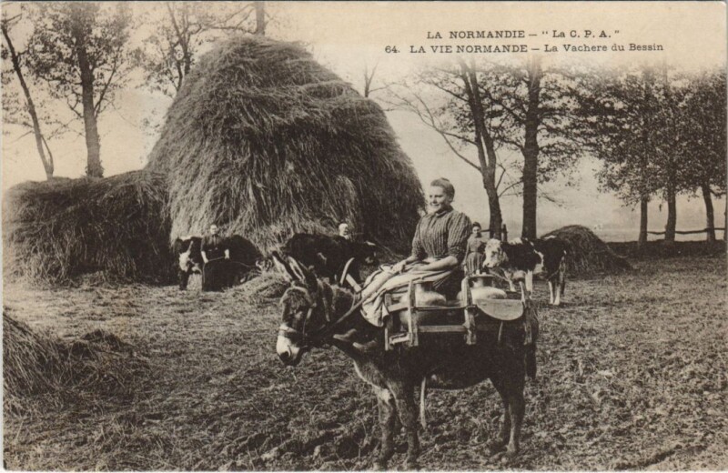 Carte postale ancienne La Vachere du Bessin