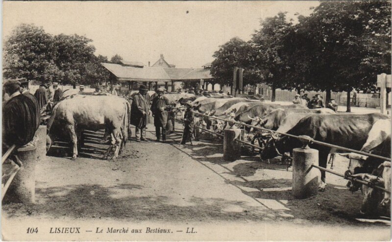 Carte postale ancienne Lisieux Le Marche aux Bestiaux à Lisieux