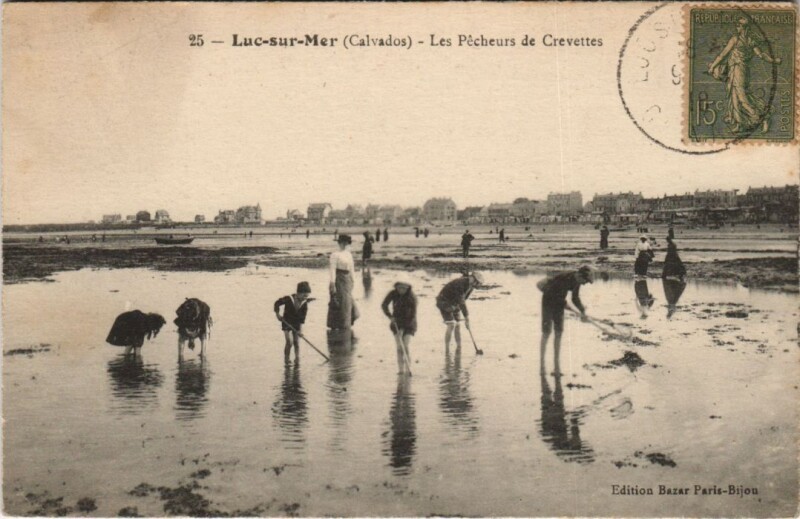 Carte postale ancienne Luc-sur-Mer Les Pecheurs de Crevettes à Luc-sur-Mer